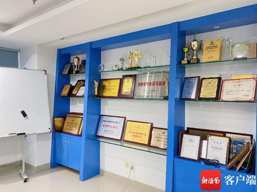 海南蓝点获评省级专精特新中小企业，软件开发领域再添新动能