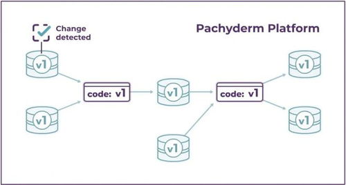 HPE收购Pachyderm 强化AI基础软件，加速企业机器学习自动化